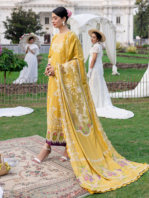 PN-11 | 3 PC Khaddar